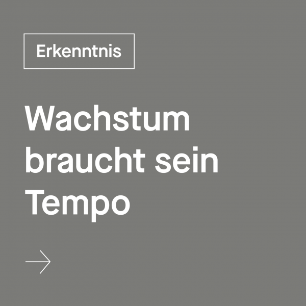 Blogbeiträge und Praxiseinblicke zu systemischer Beratung, LEGO Serious Play, Orientierung und Gleichwertigkeit