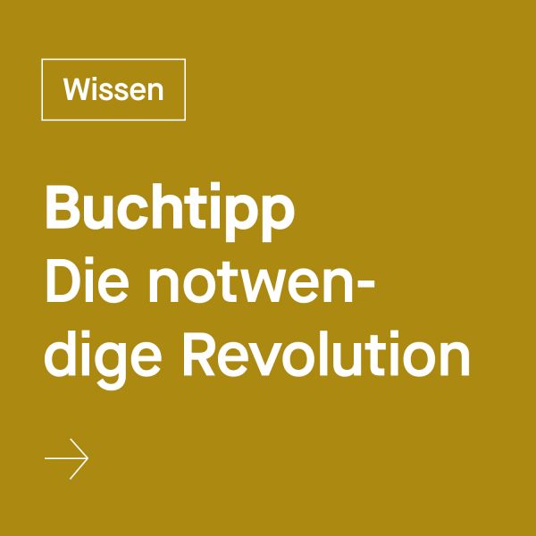 Blogbeiträge und Praxiseinblicke zu systemischer Beratung, LEGO Serious Play, Orientierung und Gleichwertigkeit